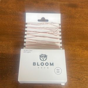Bloom Room 25 ct LED Mini Copper Wire w/ Clear String Lights